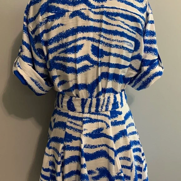 NWT Blue & White Zebra Striped Shirt Minidress - Picture 3 of 6